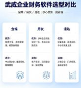 武威财务软件怎么选？金蝶云、用友云、速达软