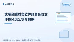 武威金蝶财务软件账套备份文件损坏怎么恢复数