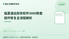 临夏速达财务软件3000账套损坏修复全流程解析