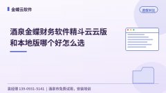 酒泉金蝶财务软件精斗云云版和本地版哪个好怎