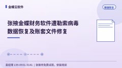 张掖金蝶财务软件遭勒索病毒数据恢复及账套文