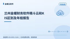 兰州金蝶财务软件精斗云和KIS区别及年结报告