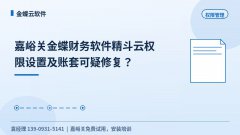 嘉峪关金蝶财务软件精斗云权限设置及账套可疑