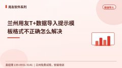 兰州用友T+数据导入提示模
