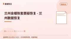 兰州金蝶账套置疑恢复 - 兰州数据恢复
