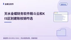 天水金蝶财务软件精斗云和KIS区别建账核销咋选