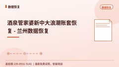 酒泉管家婆新中大浪潮账套恢复