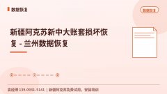 新疆阿克苏新中大账套损坏恢复